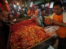 Harga Cabai Rawit Naik Gila-gilaan, Bapanas Siapkan Langkah Ini