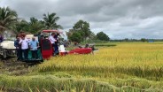 Jelang Panen Raya Sumsel, Zulhas Tegaskan HPP Baru Gabah Rp6.500 per Kg