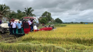 Jelang Panen Raya Sumsel, Zulhas Tegaskan HPP Baru Gabah Rp6.500 per Kg