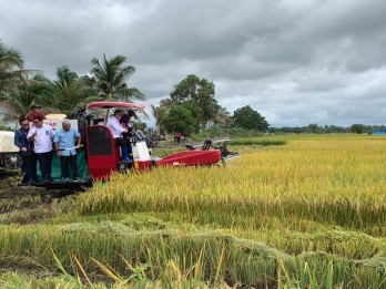 Jelang Panen Raya Sumsel, Zulhas Tegaskan HPP Baru Gabah Rp6.500 per Kg