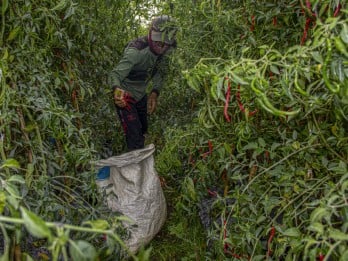 Jelang Imlek 2576, Harga Sembako di Sumbar Naik