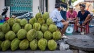 RI Kalah, Vietnam Jadi 'Raja' Durian Baru di Dunia