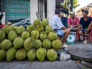 RI Kalah, Vietnam Jadi 'Raja' Durian Baru di Dunia