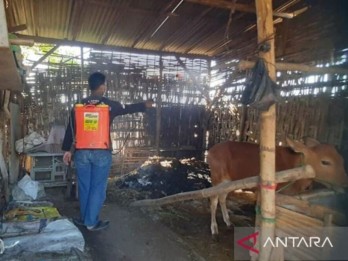 Penyemprotan Desinfektan di Pasar Sapi untuk Mencegah Penyebaran PMK