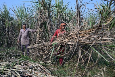 Ketar-ketir Pasokan Gula, Siap-siap Harga jadi Pahit?