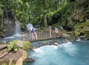 Desa Wisata Sesaot Di Lombok