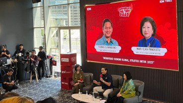 Wamenkeu Pastikan Danantara Belum Akan Diresmikan di Januari 2025