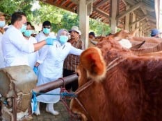 Pj Gubernur Jatim Pastikan Transaksi Sapi Tidak Dihentikan