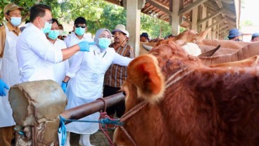 Pj Gubernur Jatim Pastikan Transaksi Sapi Tidak Dihentikan