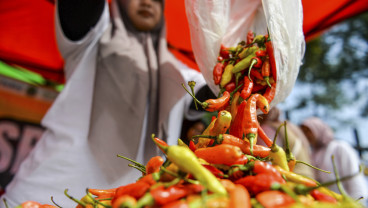 Program Stabilisasi Harga Cabai Rawit Di Bandung