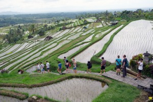 Desa Penggerak Pariwisata Bali