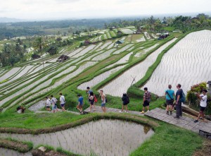 Desa Penggerak Pariwisata Bali