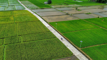 Pemanfaatan Dana Desa Untuk Pembangunan Infrastruktur Pertanian