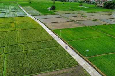 Pemanfaatan Dana Desa Untuk Pembangunan Infrastruktur Pertanian