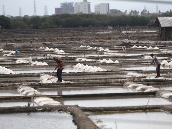 Impor Garam Industri Pangan Dibatasi, Produsen Masako Cs Terancam