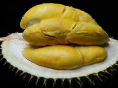 Beli Durian Kini Bisa di Vending Machine Stasiun MRT