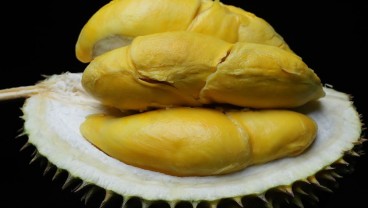 Beli Durian Kini Bisa di Vending Machine Stasiun MRT