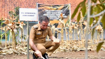 Bey Machmudin Dorong Desa Jadi Sumber Utama Ketahanan Pangan