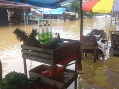 Banjir di Kampar Rendam Tiga Desa, Ratusan KK Terdampak