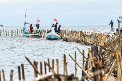 TNI AL Dan Nelayan Bongkar Pagar Laut Di Tangerang