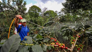 Pupuk Indonesia Peringatkan Mitra Nakal, Jual di Atas HET Pidana Menanti