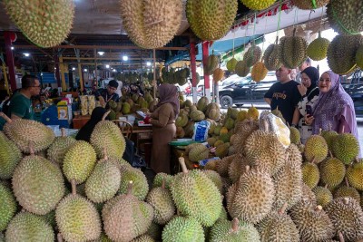 Kemenko Pangan Persiapkan Durian Sulteng Untuk ke Pasar Ekspor