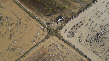 Perluasan Areal Tanam (PAT) Untuk Lahan Pertanian Penanaman Padi di Sulawesi Tenggara