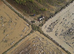 Perluasan Areal Tanam (PAT) Untuk Lahan Pertanian Penanaman Padi di Sulawesi Tenggara