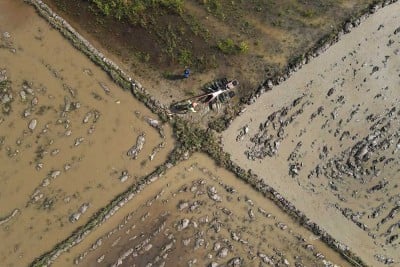 Perluasan Areal Tanam (PAT) Untuk Lahan Pertanian Penanaman Padi di Sulawesi Tenggara