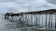 Terungkap! Perusahaan Terafiliasi Aguan Miliki HGB di Area Pagar Laut