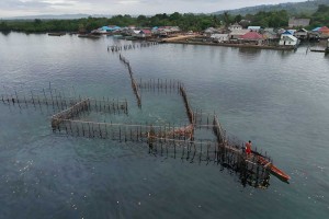 Begini Cara Menagkap Ikan Nelayan Suku Bajo Dengan Perangkap