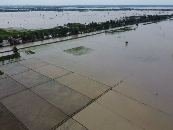 320 Hektare Sawah di Kabupaten Cirebon Rusak Akibat Banjir Bandang