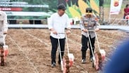 Bey Hadiri Launching Gerakan Penanaman Jagung 1 Juta Hektare di Subang