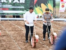 Bey Hadiri Launching Gerakan Penanaman Jagung 1 Juta Hektare di Subang