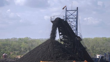 Kode dari Pemegang Saham & Sekuritas untuk Bukit Asam (PTBA)