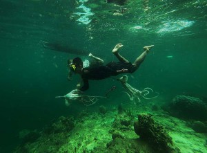 Suku Bajo dan Tradisi Menangkap Gurita Menggunakan Alat Tradisional