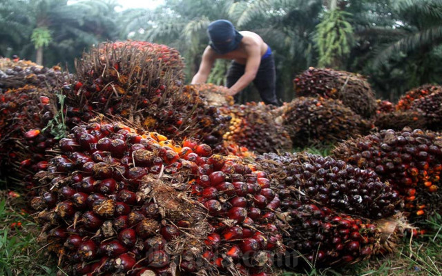 Seirama BlackRock & Vanguard di Saham Emiten CPO Grup Astra (AALI)