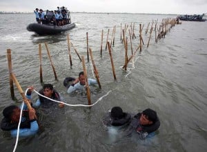 Pembongkaran Pagar Laut di Kawasan Pantai Tanjung Pasir