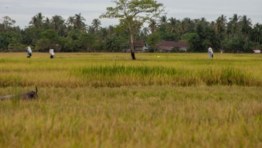Ekonomi Sumbar Ditargetkan Tumbuh 5,2%, Ini Catatan untuk Kepala Daerah yang Baru