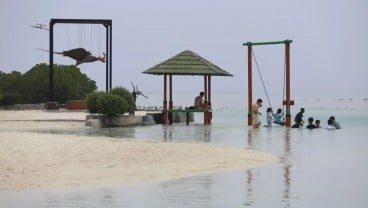 Asa Menyelamatkan Ekosistem Laut Pulau Pari dari Reklamasi Ilegal