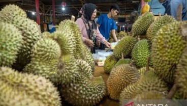 Ekspor Durian Sulteng, 3.056 Hektare Lahan Teregistrasi