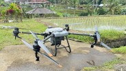 Desa Jatiluwih Mulai Gunakan Drone untuk Dukung Pertanian