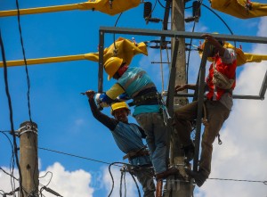 Layanan Listrik Hijau PLN Tumbuh 117% Pada 2024