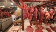 Menanti Keputusan Impor 100.000 Ton Daging Kerbau Jelang Lebaran