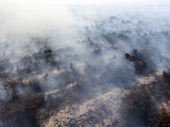 Menghitung Potensi Ekonomi dari Restorasi Gambut dan Rehabilitasi Mangrove