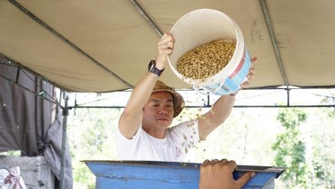 Cara Roemah Koffie Angkat Budaya Lewat Kopi