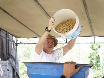 Cara Roemah Koffie Angkat Budaya Lewat Kopi