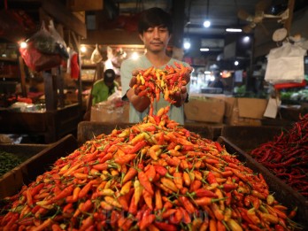 Harga Cabai Naik Gila-gilaan, Ada yang Tembus Rp180.000 per Kg