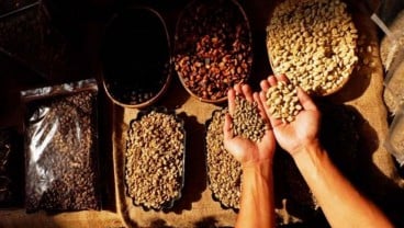 Capai Rekor Baru Lagi, Harga Kopi Masih Bisa Lebih Pahit?