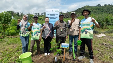 Upaya Djarum Foundation dan Kelompok Tani Menghijaukan Kembali Bukit Patiayam